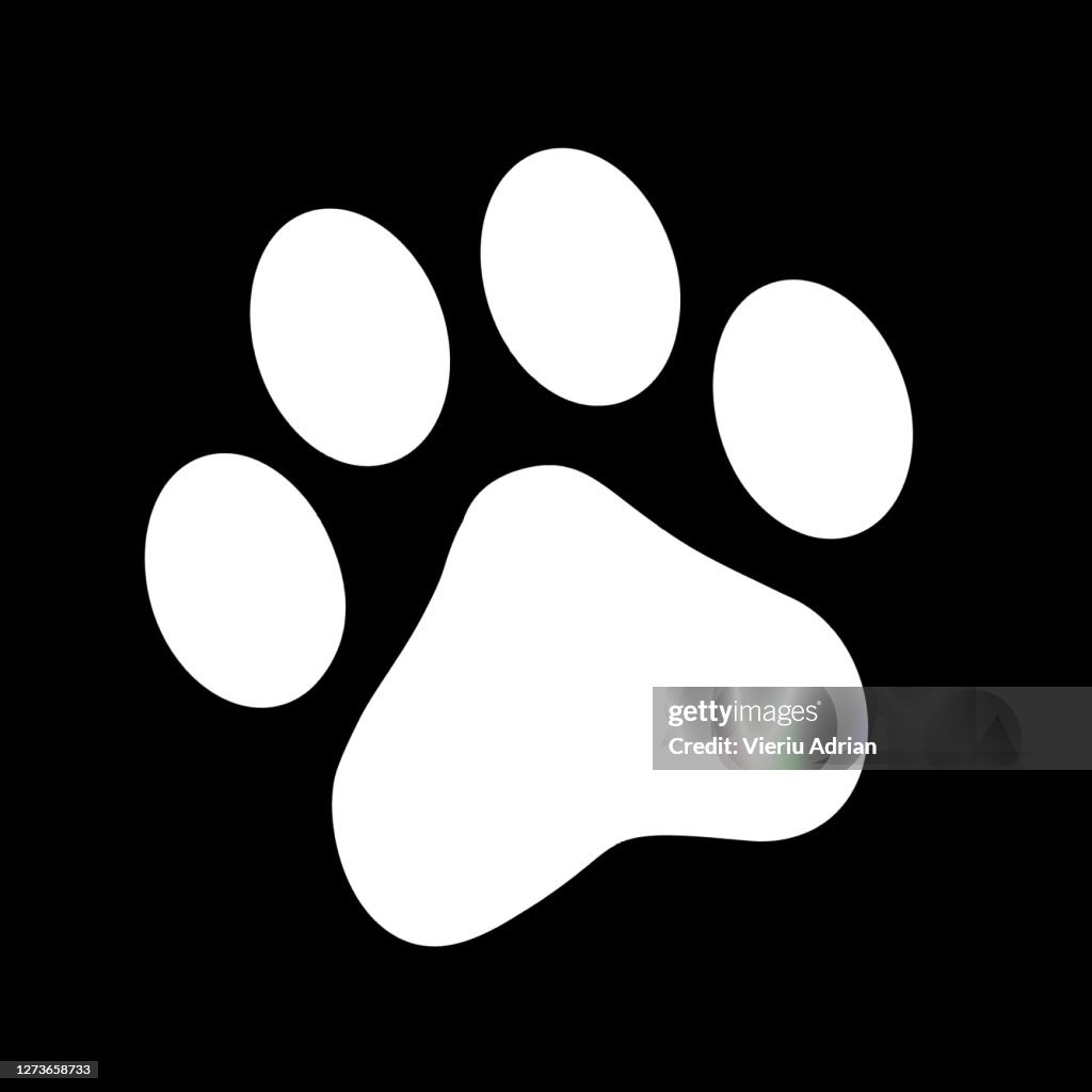 Paw print pet
