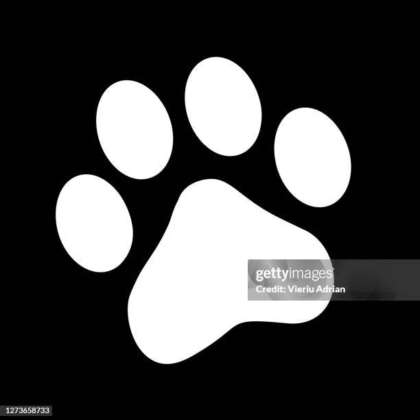 paw print pet - dog icon imagens e fotografias de stock