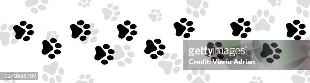 paw print pet - dog blue background stock pictures, royalty-free photos & images