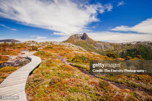 cradle mountain and lakr wilks as seen from lake rodway track - cradle mountain tasmania stock pictures, royalty-free photos & images