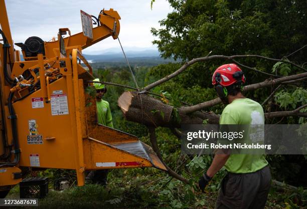 Treechopper Job Tree Wood Chipper Photos and Premium High Res Pictures - Getty Images
