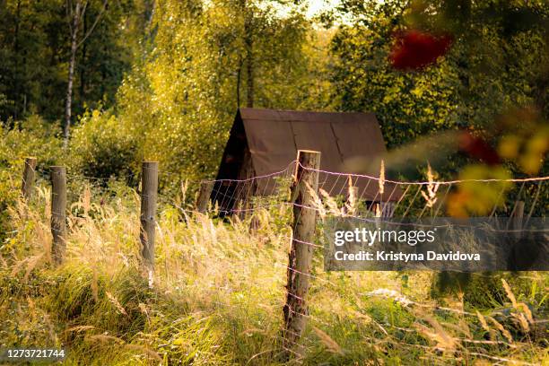 cottage in the woods - czech republic stockfoto's en -beelden