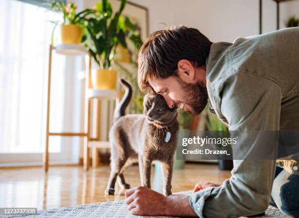 beau homme millénaire câlinant la tête à la tête de chat - chat de race photos et images de collection