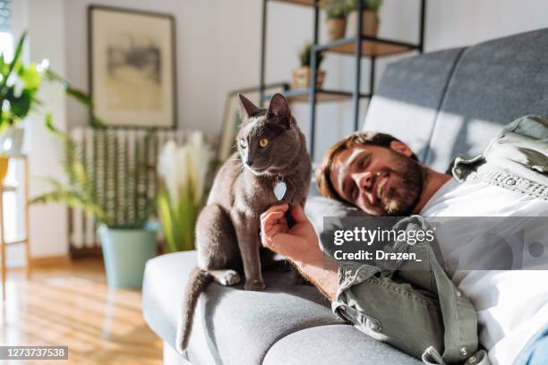 handsome millennial man cuddling cat with pet collar and heart tag - domestic cat stock pictures, royalty-free photos & images