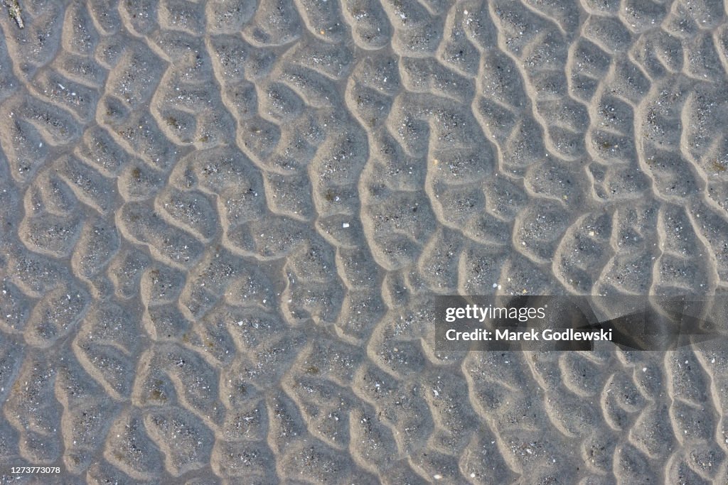 Beach texture, low tide beach, sand structure