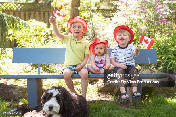 three young siblings sit on a park bench and wave canadian flags - canada day stock pictures, royalty-free photos & images