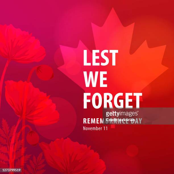 stockillustraties, clipart, cartoons en iconen met canadese herdenkingsdag ceremonies - poppies