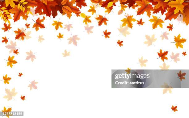 stockillustraties, clipart, cartoons en iconen met herfstval - vallende bladeren