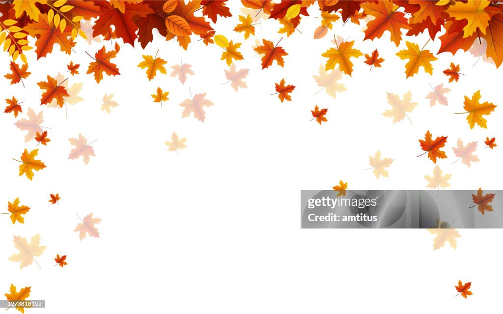 Autumn fall