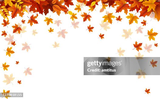 Autumn Fall High-Res Vector Graphic - Getty Images
