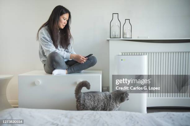 a young asian woman controls the power of her smart air unit from her mobile phone as she sits on a storage bench in the bedroom as her cat walks by - reportage home stock pictures, royalty-free photos & images