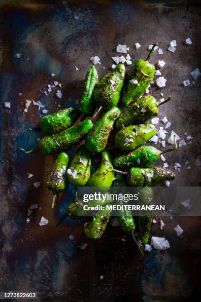 pimientos del padron tapas gesalzen sind spanien chilischoten - pimientos stock-fotos und bilder