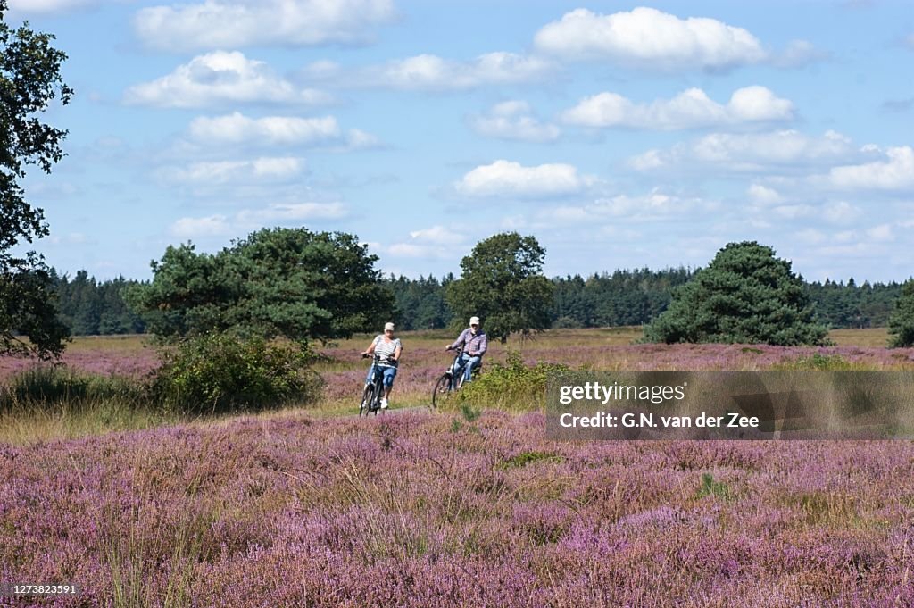 Cycling in beautiful Drenthe