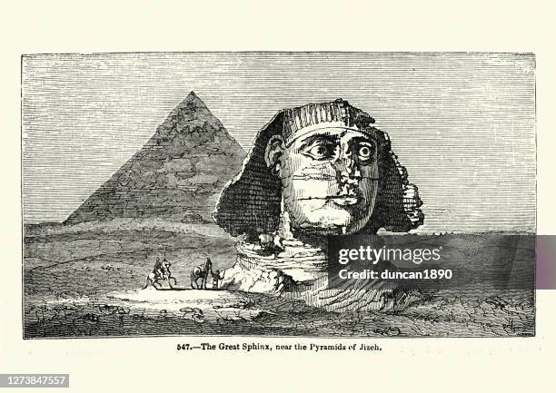 ancient egyptian sphinx - sphinx stock illustrations
