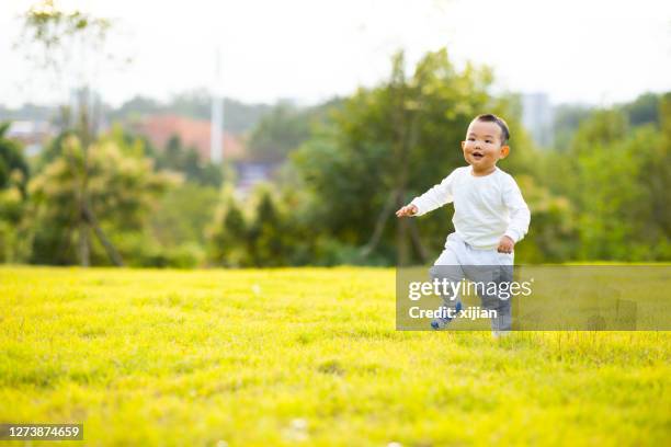 baby boy running on lawn in autumn - baby run stock pictures, royalty-free photos & images