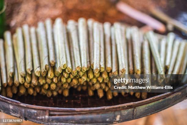 rolling hand made cheroot cigars, a traditional burmese cigar, inle lake, shan state, myanmar, burma - cheroot making stock pictures, royalty-free photos & images