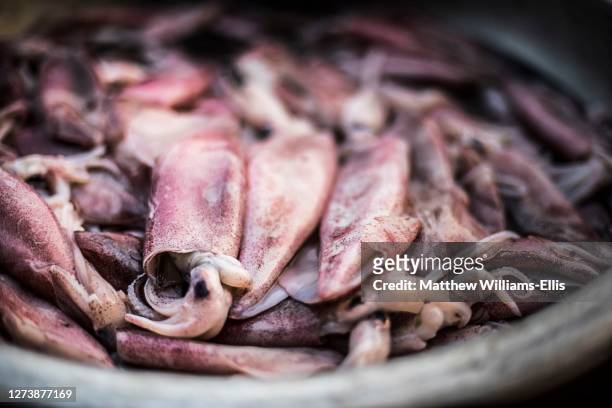 squid for sale at hpa an morning market, kayin state, karen state, myanmar, burma - matthew calamari foto e immagini stock