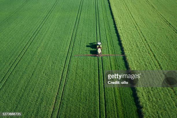 traktor auf einem weizenfeld im frühjahr - monokultur stock-fotos und bilder