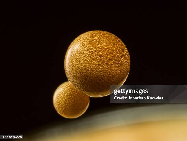 close up coffee droplets - satellite dish foto e immagini stock