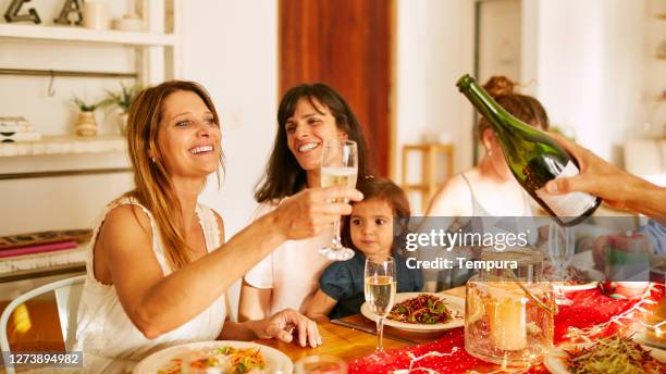 a mother rises her champagne flute and proposes a toast. - cunhada imagens e fotografias de stock