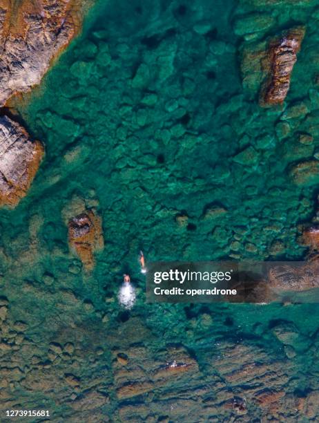 rocky shoreline cenital view - cenital beach photos et images de collection