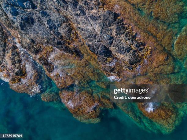 rocky shoreline cenital view - cenital beach stock pictures, royalty-free photos & images