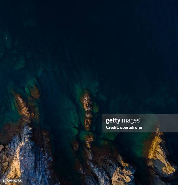 rocky shoreline cenital view - cenital beach stock pictures, royalty-free photos & images