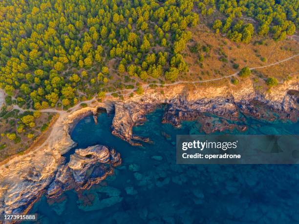 rocky shoreline cenital view - cenital beach photos et images de collection