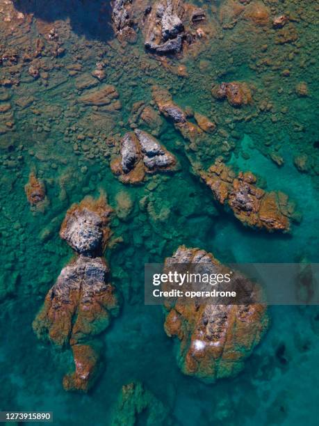 rocky shoreline cenital view - cenital beach stock pictures, royalty-free photos & images