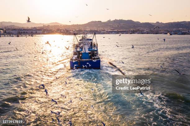 fishing boat coming back to the harbor - adriatic sea italy stock pictures, royalty-free photos & images