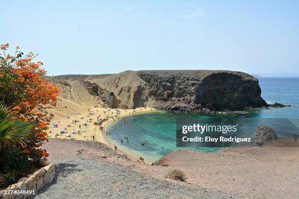 beaches of the papagayo area - lanzarote - lanzarote stock pictures, royalty-free photos & images