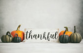 Thanksgiving Fall Background with Assortment of Pumpkins and Thankful Sign