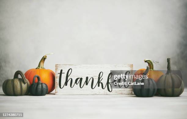 thanksgiving fall background with assortment of pumpkins and thankful sign - thanksgiving wallpaper imagens e fotografias de stock