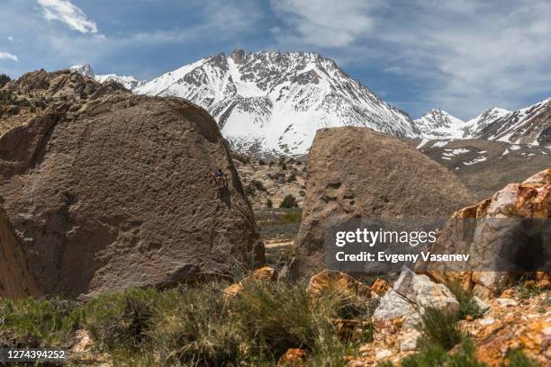 rock climber climbing rock formation, bishop, california, usa - bishop foto e immagini stock