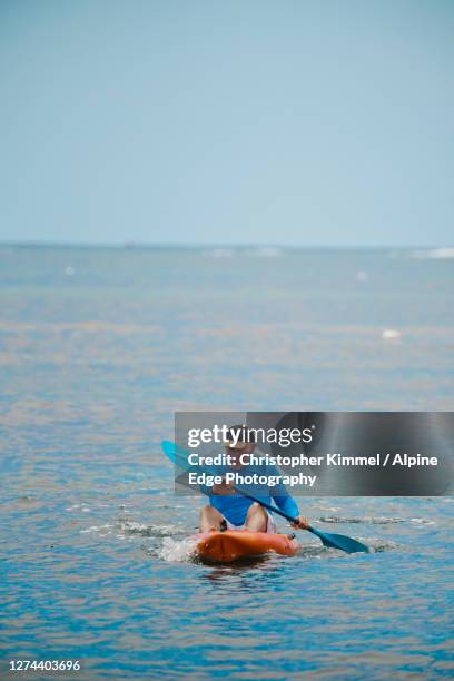 man paddling onwaveskiin sea, longreach bay, rottnest island, western australia, australia - longreach stock pictures, royalty-free photos & images