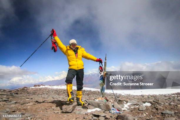 made it! - mount aconcagua stock pictures, royalty-free photos & images