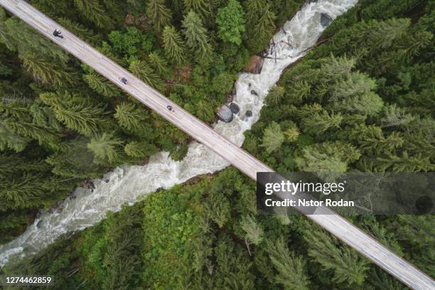aerial view of river passing through forest, ernen, valais, switzerland - aletsch glacier stock pictures, royalty-free photos & images