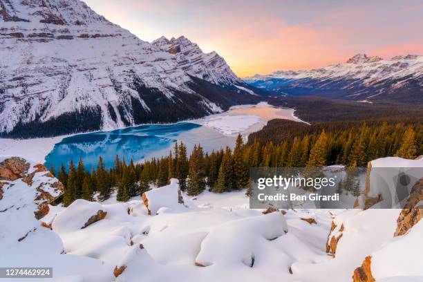 peytolake in winter, banffnational park, alberta, canada - banff stock pictures, royalty-free photos & images