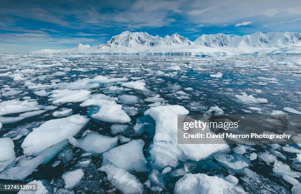 iceberg sits still on a calm day in antarctica - packeis stock-fotos und bilder