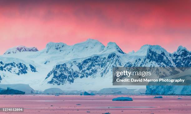 stunning sunset on the antarctic peninsula - south shetland islands 個照片及圖片檔