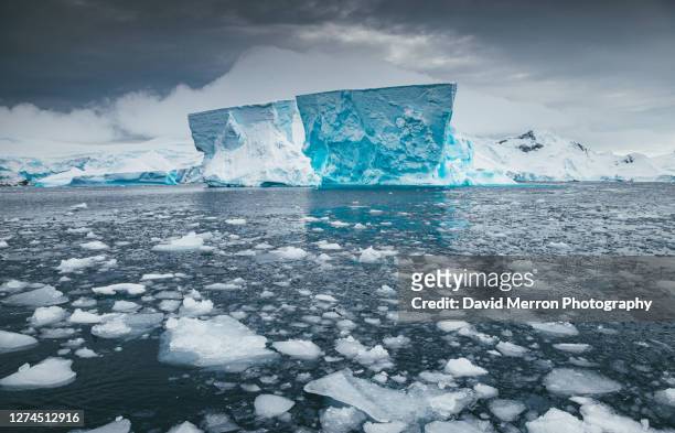 iceberg sits still on a calm day in antarctica - klimawandel stock-fotos und bilder