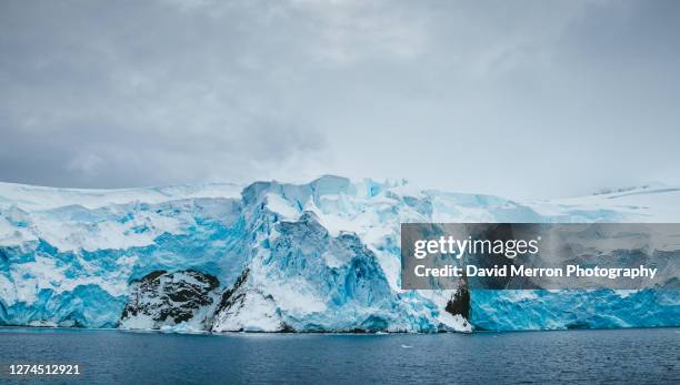 glaciers of the antarctic peninsula - snow hill island bildbanksfoton och bilder