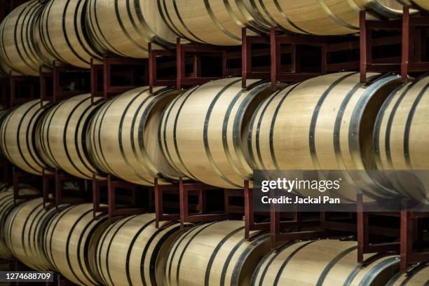 rows of wine barrels - rum stock-fotos und bilder