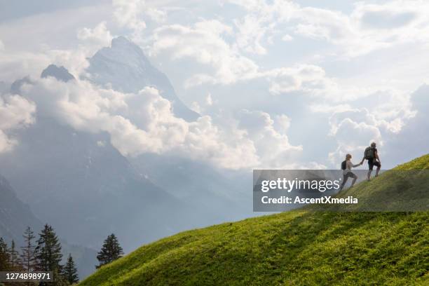 luchtmening van wandelend paar dat alpiene weide in de ochtend doorkruist - berg klimmen team stockfoto's en -beelden