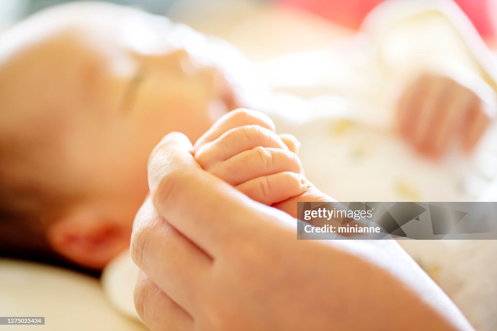 Holding Hands. hand the newborn baby in the hand of parent.