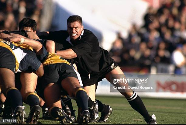 Jones Rugby 1,637 Michael Jones Rugby Stock Photos, High-Res Pictures, and Images ...
