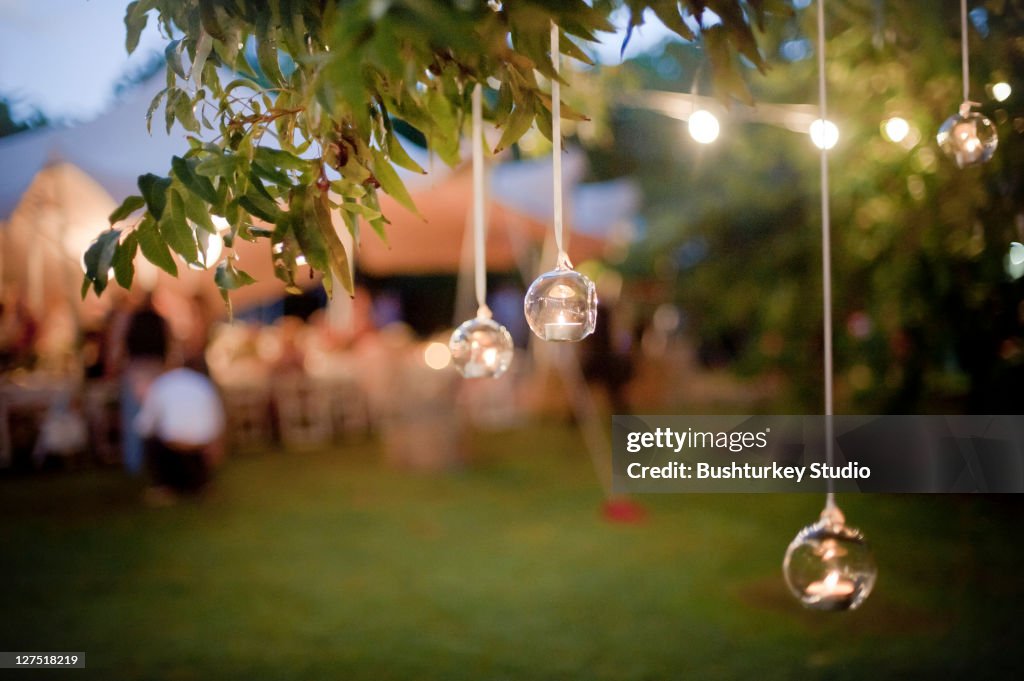 Candles hanging from tree