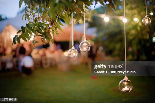 candles hanging from tree - outdoor wedding stock pictures, royalty-free photos & images