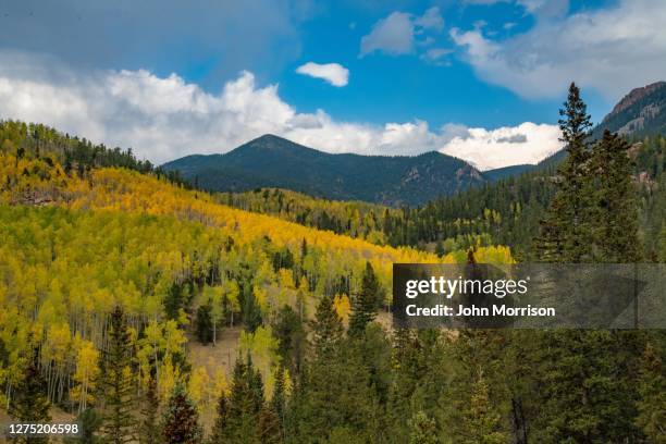 秋天的橙色和黃色在派克峰國家森林科羅拉多美國。 - pikes peak national forest 個照片及圖片檔