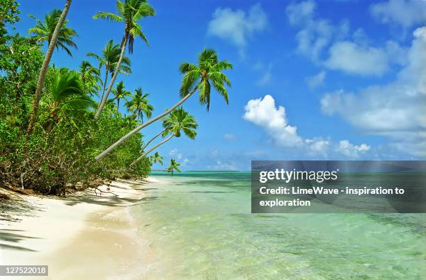paradise beach at uiha island, tonga - tonga stock pictures, royalty-free photos & images